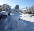 Im Winter
