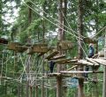 Kletterwald