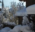 Der Garten im Winter